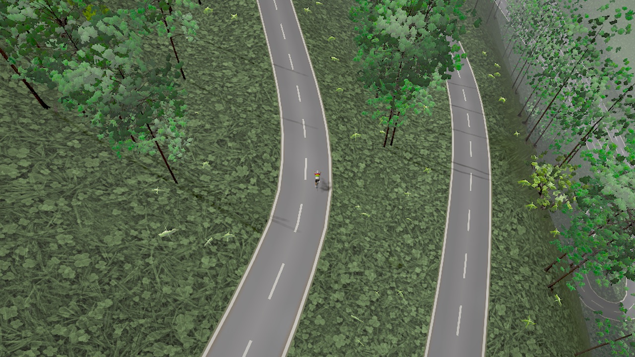 Alpe d'Huez hairpins from above: roads on a flat carpet of green with scattered trees