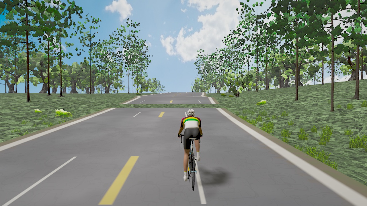 A Cary, North Carolina road in the engine: flat road, card-style trees, hand-tinted grass